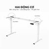 Bàn nâng hạ chiều cao động cơ điện 3 khớp 2 động cơ FLD026
