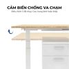 Bàn nâng hạ chiều cao động cơ điện 3 khớp 2 động cơ FLD026