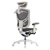 Ghế công thái học Ergonomic cao cấp Ivino Gen II CTH-02