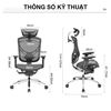 Ghế công thái học Ergonomic cao cấp Ivino Gen II CTH-02