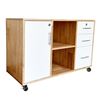 Tủ hồ sơ di động gỗ tự nhiên TCN68025