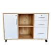 Tủ hồ sơ di động gỗ tự nhiên TCN68025