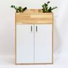 Tủ hồ sơ đầu bàn 60x40x95(cm) có ngăn để cây xanh THS68049