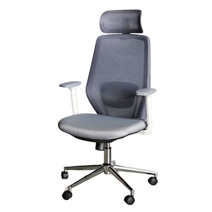 Ghế lưới văn phòng có tựa đầu HOM1110-T03