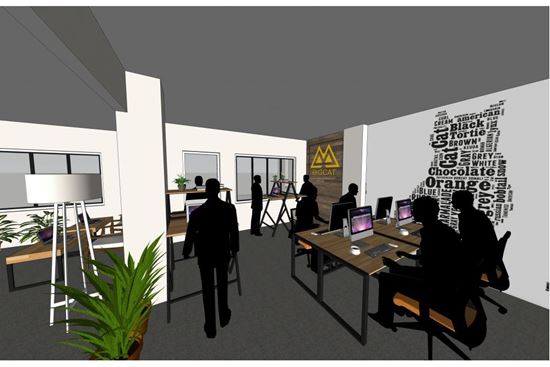 Thiết kế thi công nội thất văn phòng công ty Big Cat Entertainment