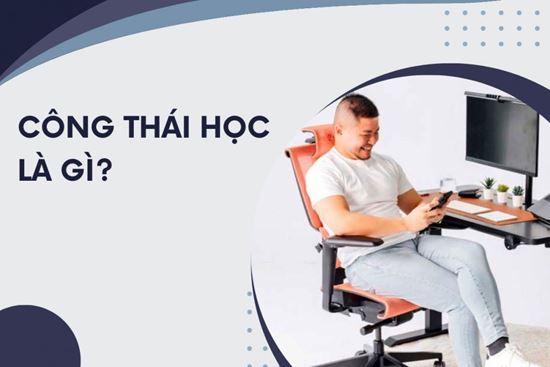 Công Thái Học Là Gì? Các Ứng Dụng Công Thái Học Trong Đời Sống