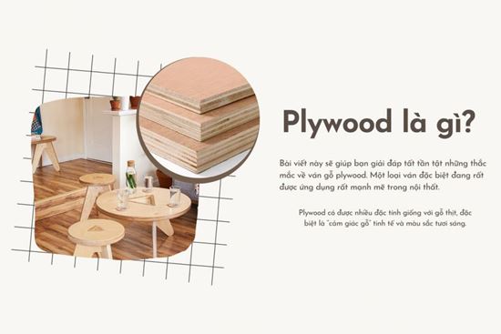 Plywood là gì? Ưu, nhược điểm và ứng dụng ván gỗ plywood trong đời sống