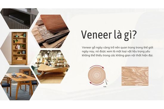 Veneer là gì? Những ưu nhược điểm mà bạn nên biết