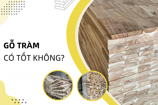Ván Gỗ Tràm Ghép Thanh Có Tốt Không?