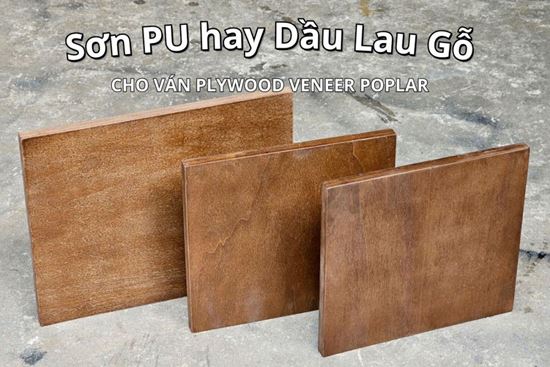 So sánh Sơn PU và Dầu Lau Gỗ trên Plywood Venner Poplar. Nên chọn cái nào?