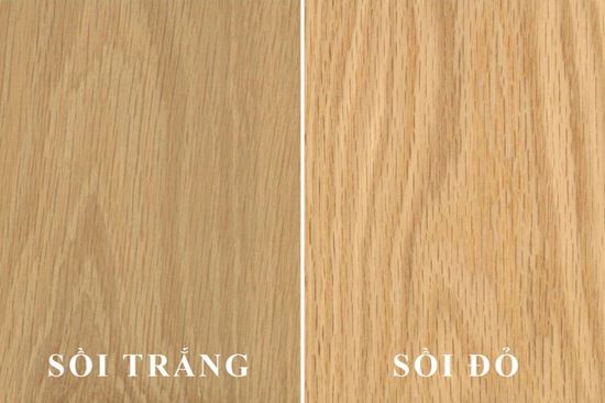 Sự khác biệt giữa gỗ sồi trắng và sồi đỏ