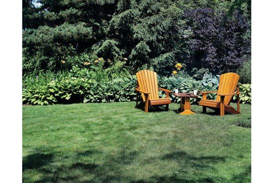 20+ Mẫu thiết kế SÂN VƯỜN đẹp mê li thuận phong thủy