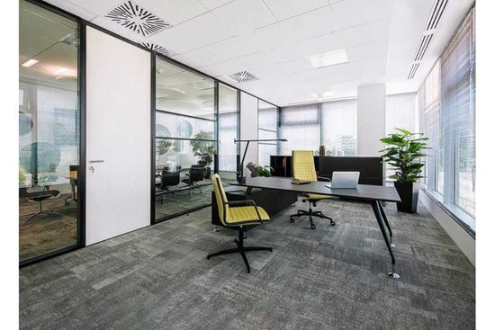 Top 5 Điều Tối Kị Trong Phong Thủy Phòng Làm Việc