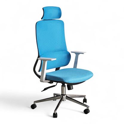 Ghế lưới văn phòng có tựa đầu HOM1111-01