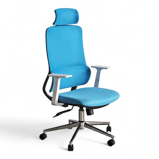 Ghế lưới văn phòng có tựa đầu HOM1111-01