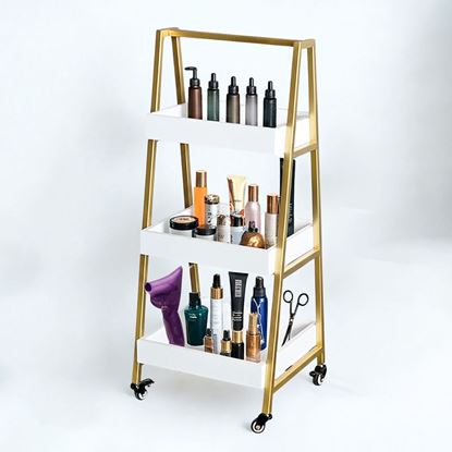 Kệ trưng bày 3 tầng di động 44x40x100cm gỗ cao su TDSL009