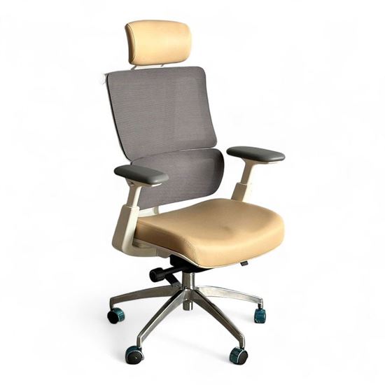 Ghế công thái học ASTON01