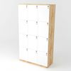 Tủ Locker 12 ngăn khóa số 100x45x160cm gỗ cao su THSL008