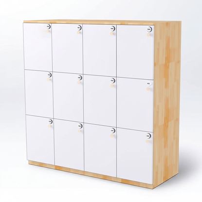 Tủ Locker 12 ngăn khóa số 120x45x120cm gỗ cao su THSL005